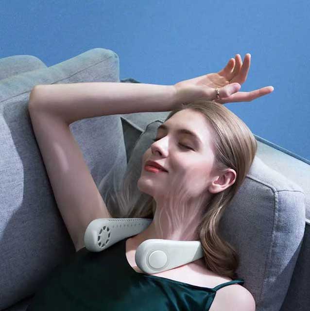 Klassischer Nackenventilator